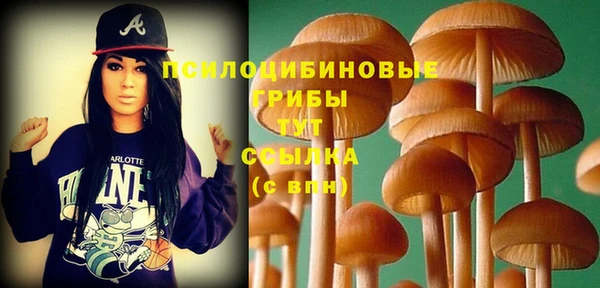 прущие крисы Дмитров
