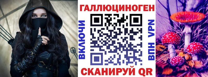 Купить закладки  Новая Ладога  Галлюциногенные грибы Magic Shrooms 